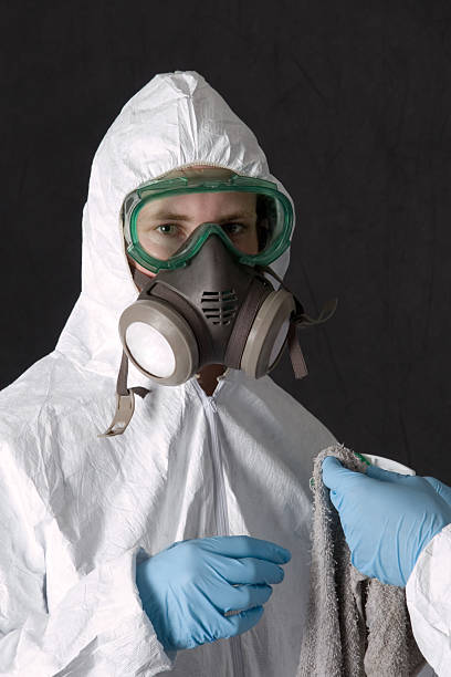 Asbestos and Lead Testing During Mold Inspection in Norton, OH